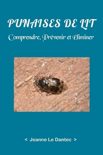 Punaises lit comprendre - punaises,